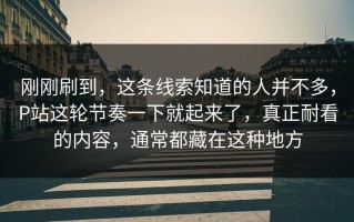 刚刚刷到，这条线索知道的人并不多，P站这轮节奏一下就起来了，真正耐看的内容，通常都藏在这种地方