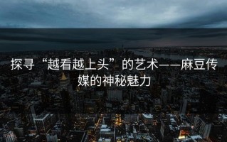 探寻“越看越上头”的艺术——麻豆传媒的神秘魅力