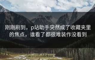 刚刚刷到，p站助手突然成了收藏夹里的焦点，谁看了都很难装作没看到