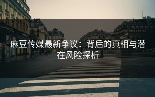麻豆传媒最新争议：背后的真相与潜在风险探析