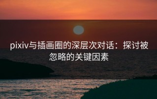 pixiv与插画圈的深层次对话：探讨被忽略的关键因素