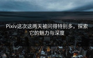 Pixiv这次这两天被问得特别多，探索它的魅力与深度