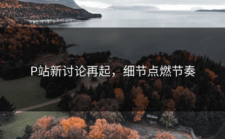 P站新讨论再起,细节点燃节奏-第1张图片-p站搬运工影视网 | p站网页版推荐站 P站新讨论再起,细节点燃节奏-第1张图片-p站搬运工影视网 | p站网页版推荐站